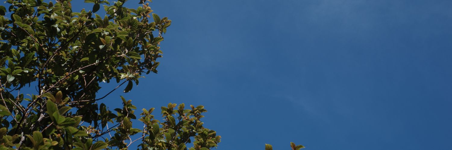 lobepumps's profile banner image
