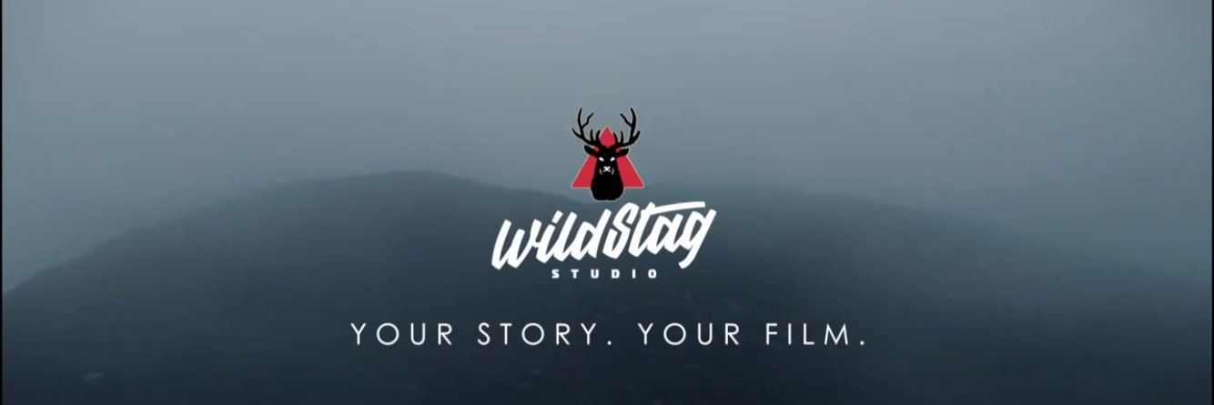 WildStagStudio's profile banner image