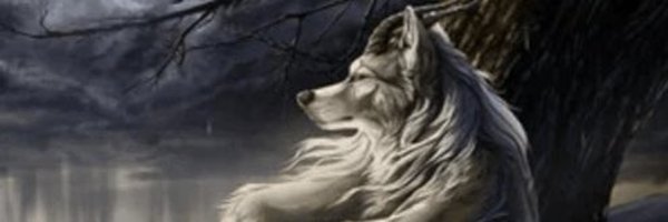 drizzylawd Profile Banner