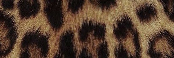 SinnsPromo Profile Banner