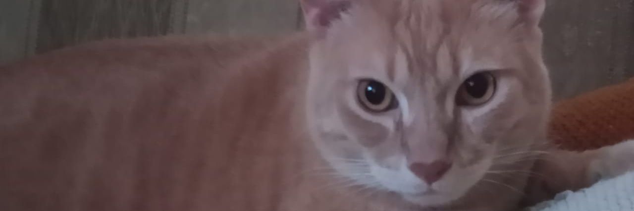 toxodeth's profile banner image