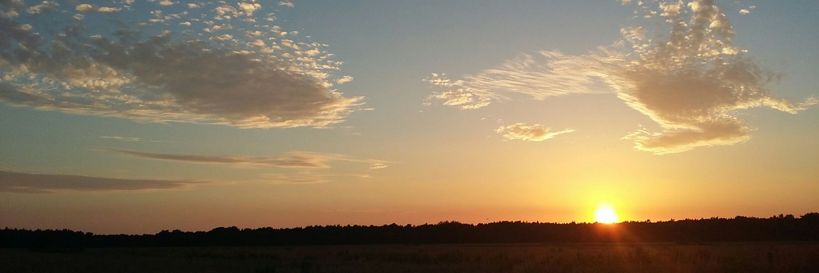 Inge Reijnen banner