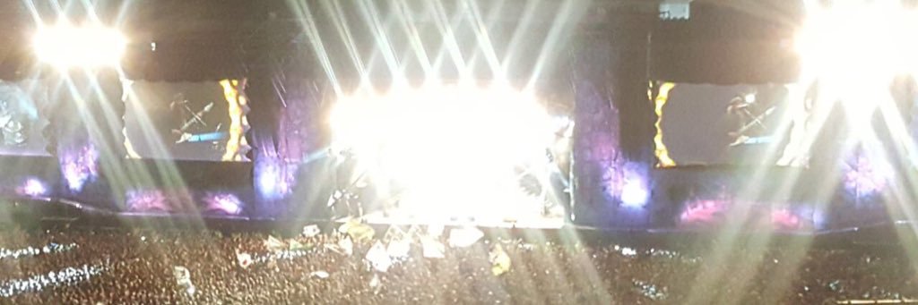 maria peluffo banner