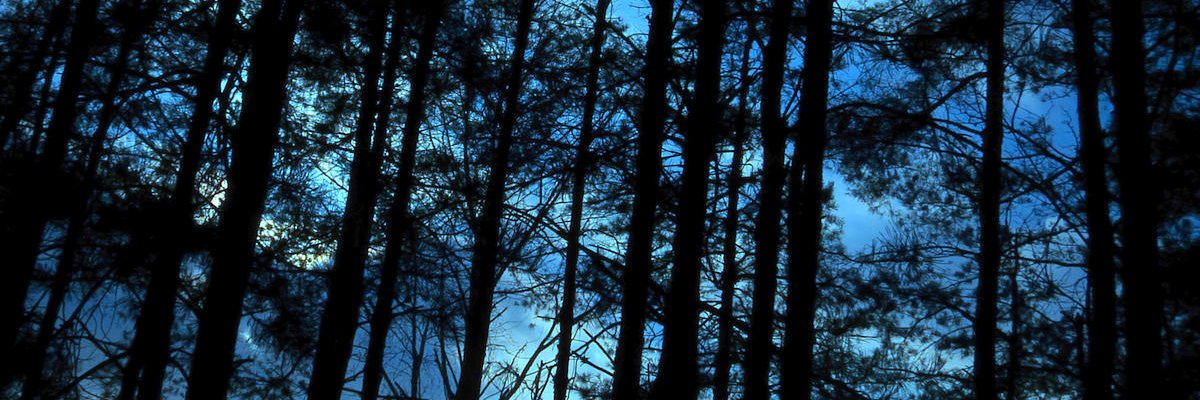 Noel_Remasu's profile banner image