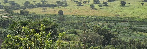 luggwasafaris Profile Banner