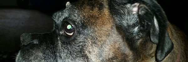 TeamGrout Profile Banner