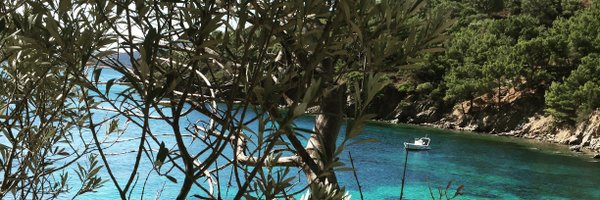 RevePedi Profile Banner