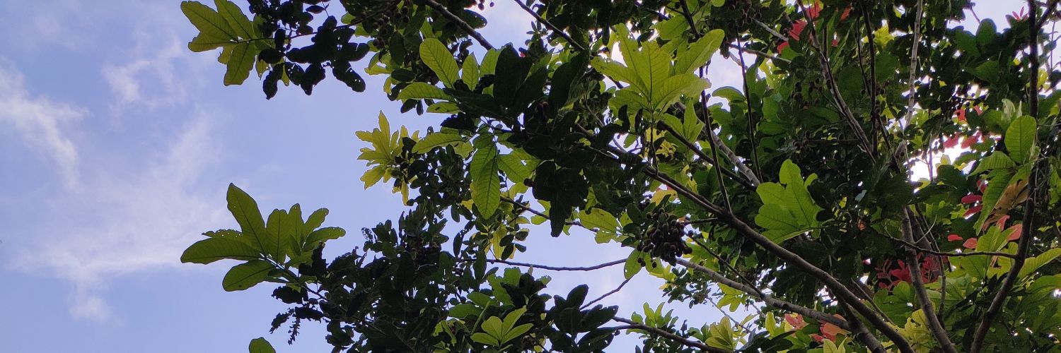 abhilash chetia wanniang banner