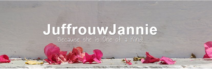 GerdaWoltinge's profile banner image