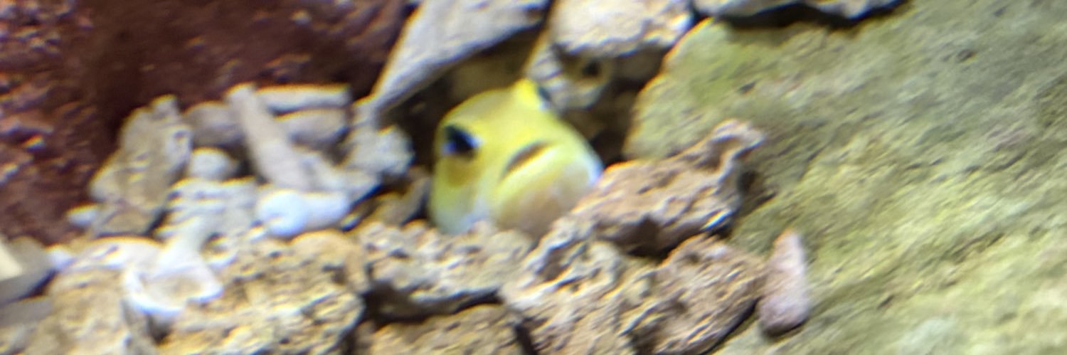 ポプテピピック❕ banner