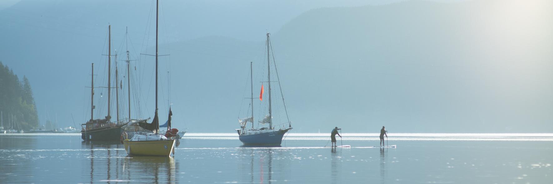 Cascadia Board Co. banner