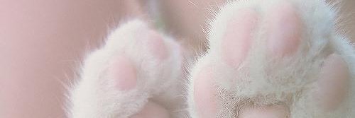 Daniaswd's profile banner image