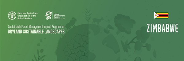 DSLIPZim Profile Banner