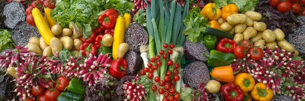 LEAP_Oxford Profile Banner