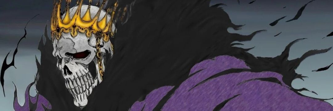 Zo banner
