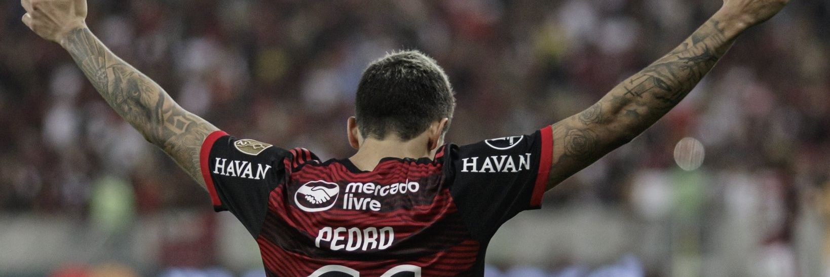 Fuscaᶜʳᶠ banner