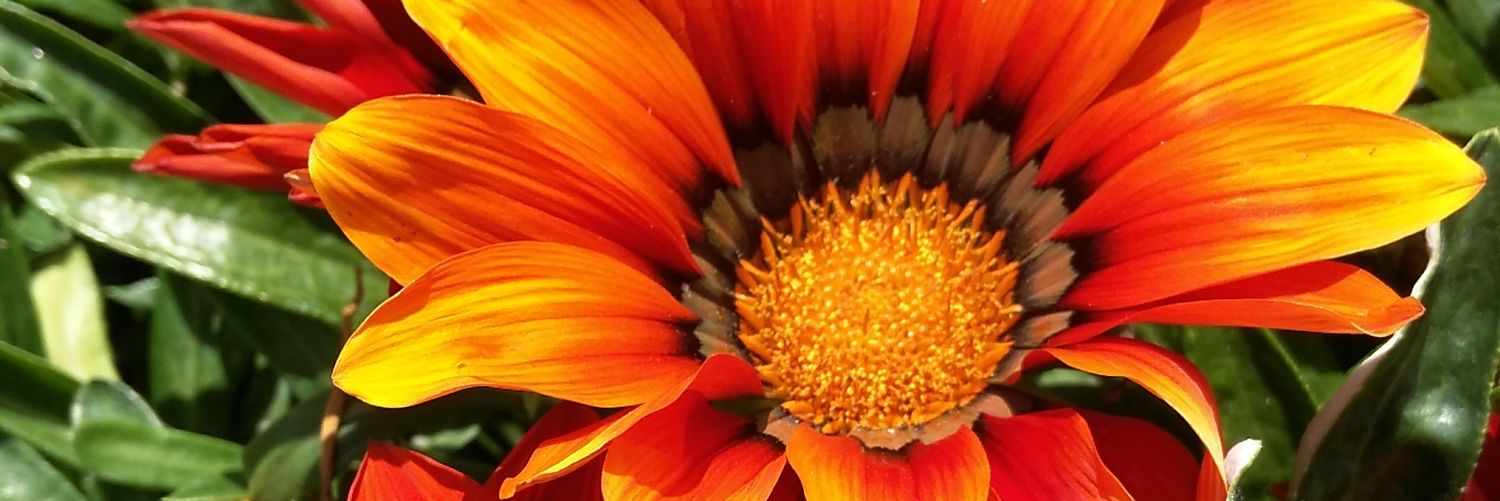 Ekkaye's profile banner image
