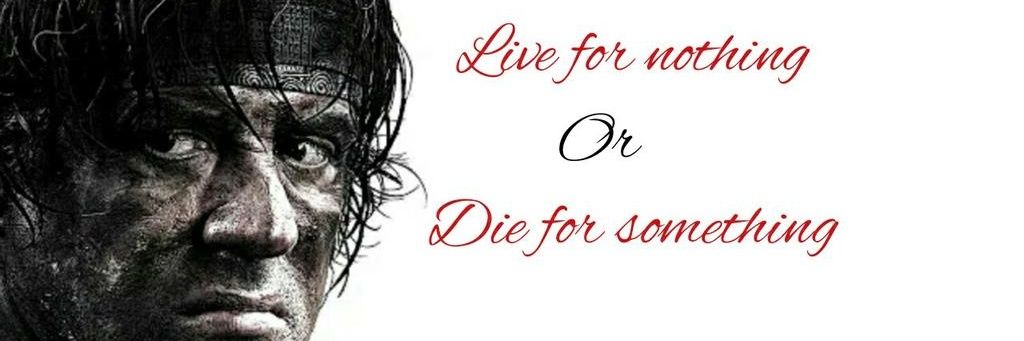 Fly banner