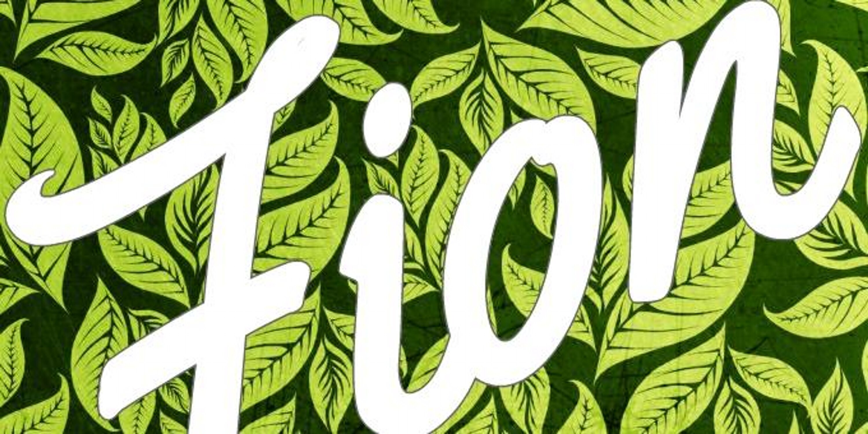 FionMusic's profile banner image