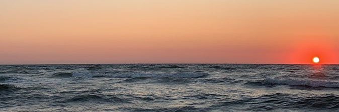 ຕᥲᥱʋᥲ banner