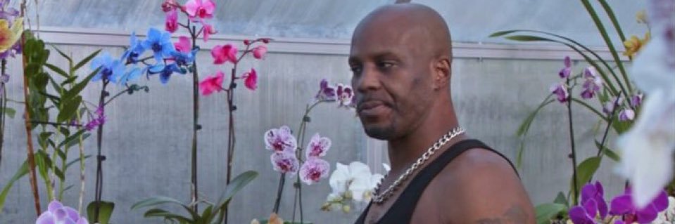 WILLIAMS ★🇭🇹 banner