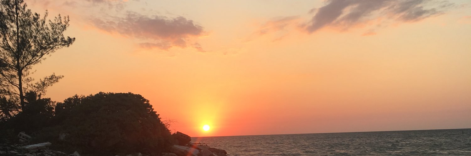 LuzFerreyro's profile banner image