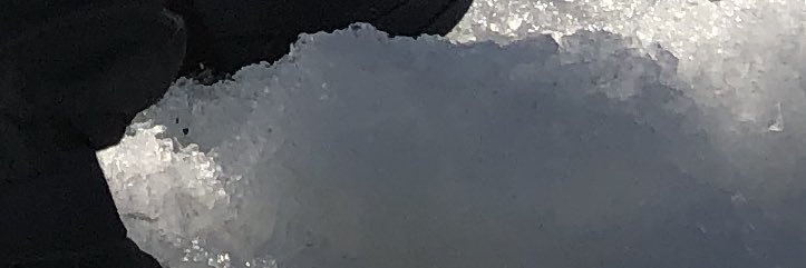 Seved Wiklund banner