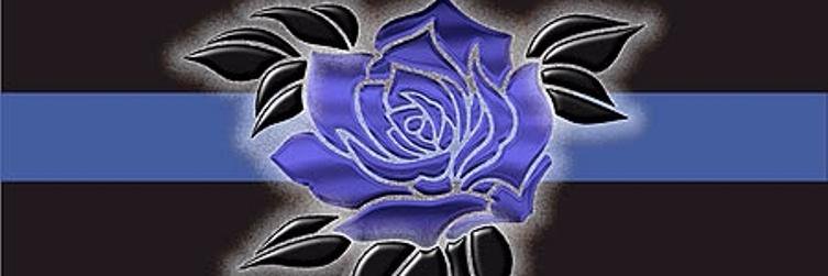 Northbridge Police banner