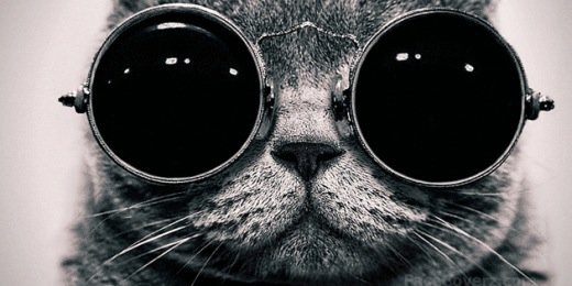 Onbeheerst's profile banner image