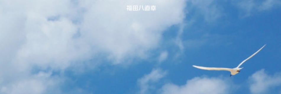 beagle723's profile banner image