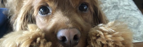 erintfitzy Profile Banner