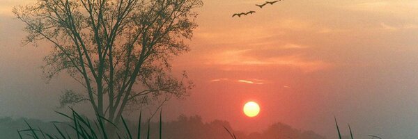 Ramabhakthan Profile Banner