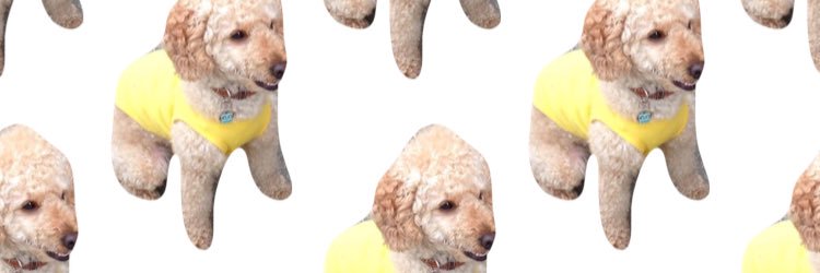 asamix_bitman's profile banner image