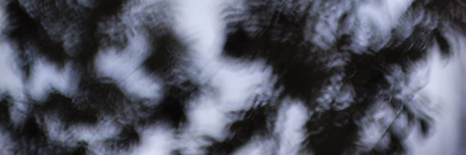 María Palomar banner