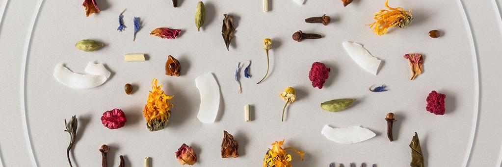 The Rabbit Hole banner