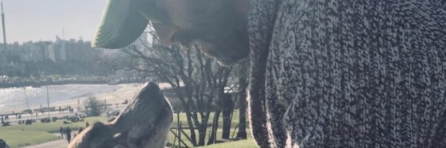 AlzaRamiro's profile banner image