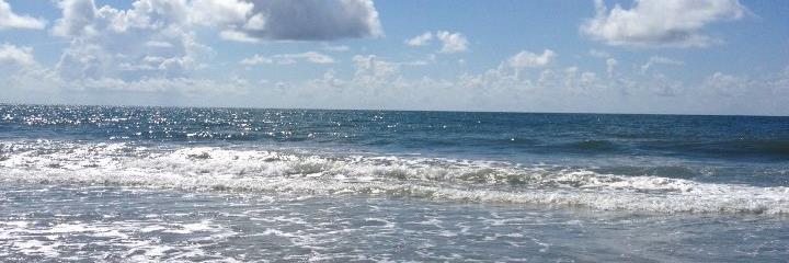 Debra_Pack's profile banner image