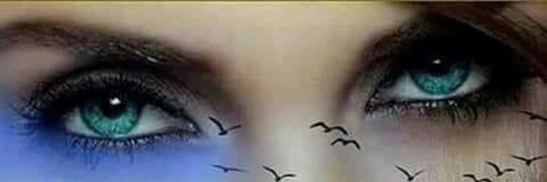 NHstwdeGNyh6leM Profile Banner