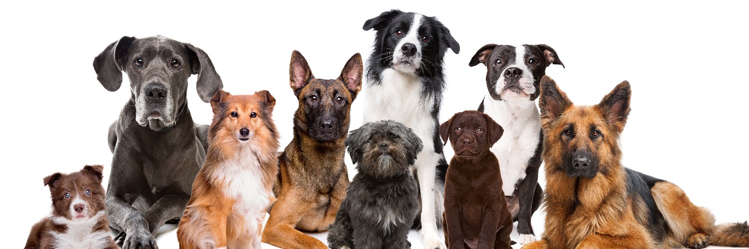 PSHmascotas's profile banner image