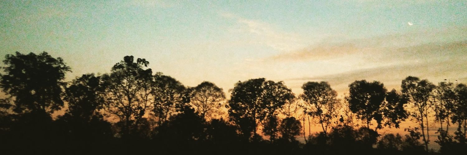 purneetha's profile banner image