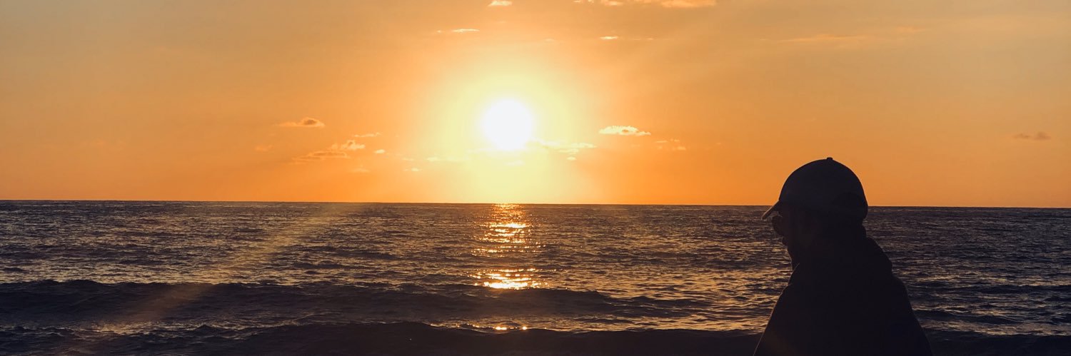 louisesfda's profile banner image