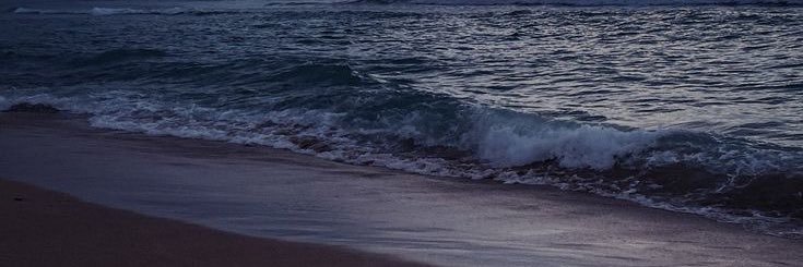 A. banner