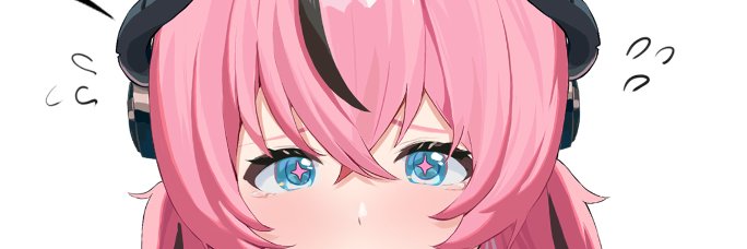 Shin banner