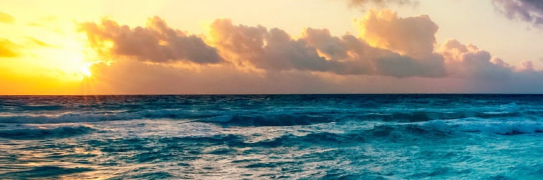 M3een banner