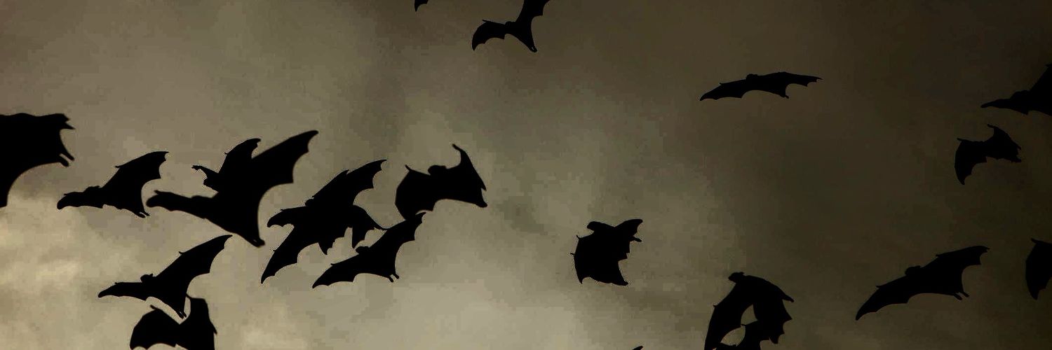 nico 🍉🐀 mcrnj banner