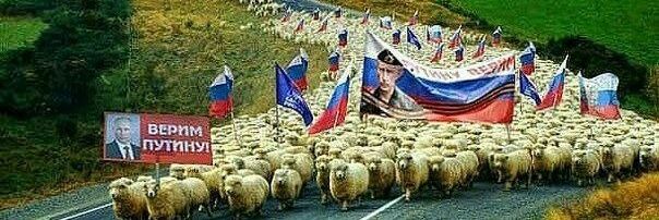 Andrei. Ukraine will win. banner