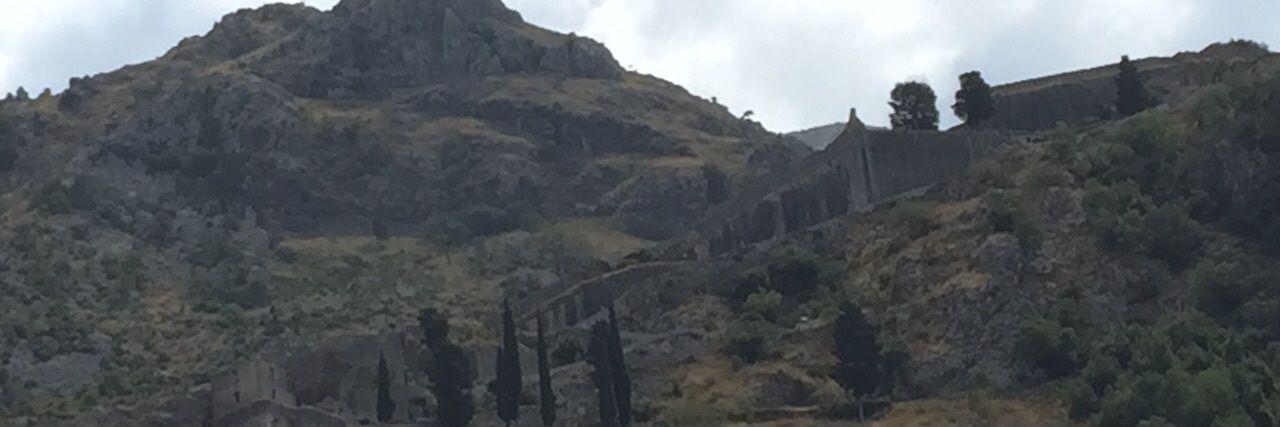 rosamariapizarro banner