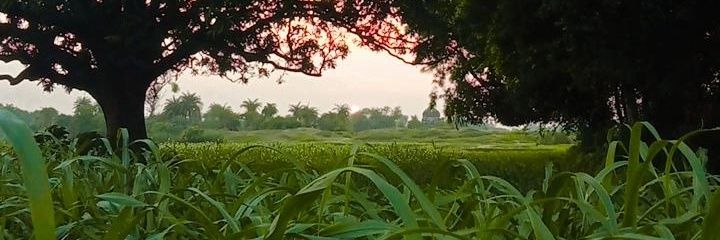 अंकित मौर्य banner