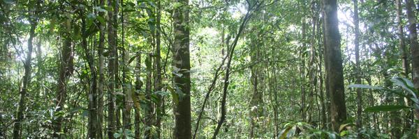 REDDCommunity Profile Banner