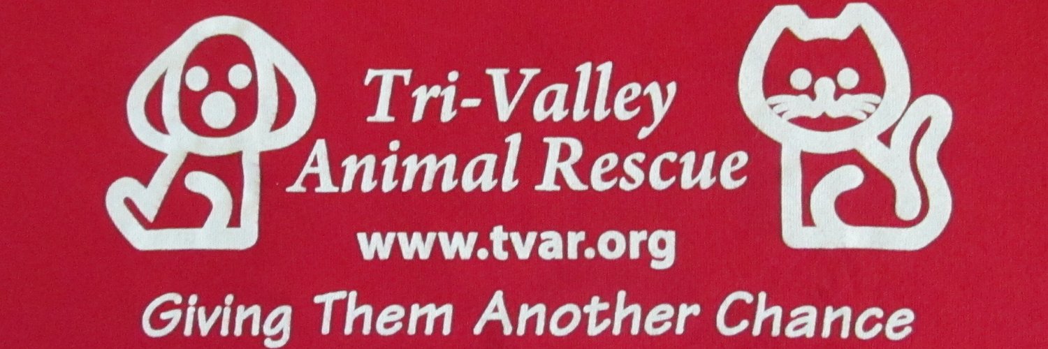 TVAR banner